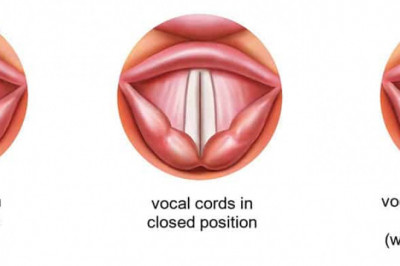 Vocal Cord Paralysis Market 2022 Research Report with Opportunities and Strategies to Boost Growth- COVID-19 Impact and Recovery~