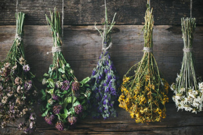 What are dried flowers?