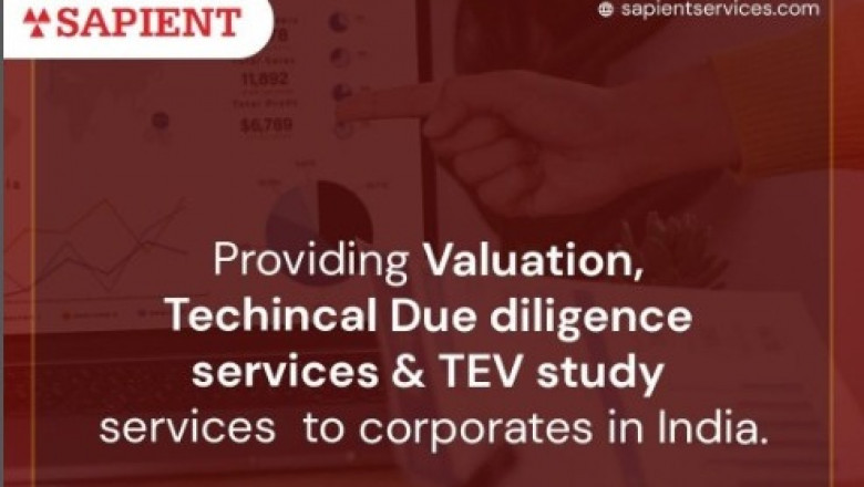 What is Techno Economic Viability? | Sapient Services