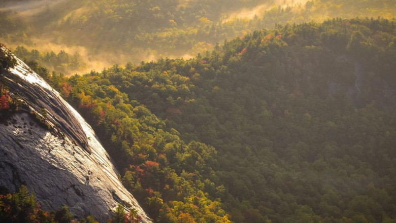 10 facebook pages to follow about donkey milk