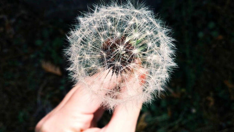 5 overlooked ways to publicize your home business business