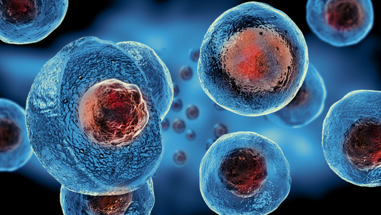 A global study of the stem cell assay market, including trends, share, size, growth, opportunities, and forecasts for 2022-2028