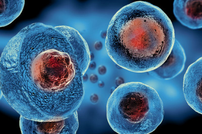 A global study of the stem cell assay market, including trends, share, size, growth, opportunities, and forecasts for 2022-2028