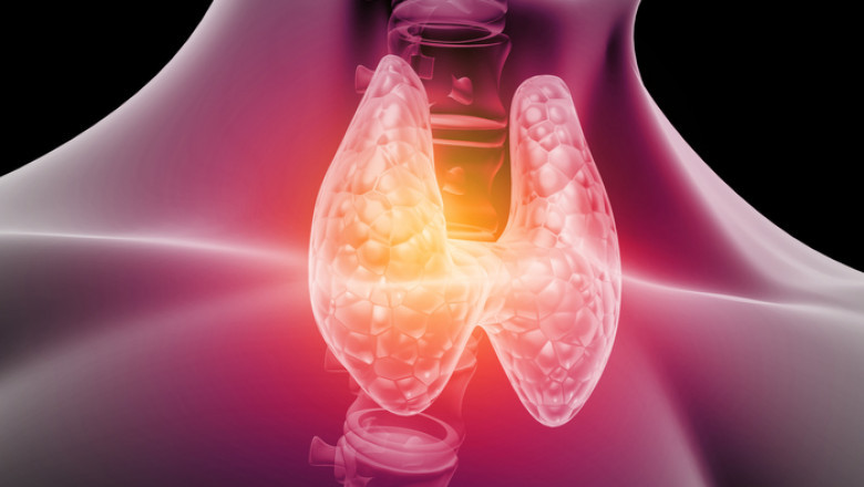 Graves' disease (overactive thyroid) Market Size, Share, Growth | Forecast 2029