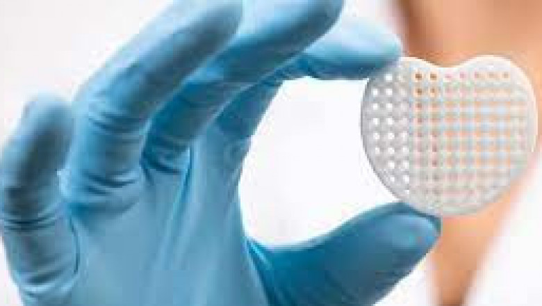 Medical Polymers Market Insight | Outlook | Growth Analysis Report 2022-2028