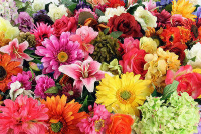 Where to buy large throws for Sofas