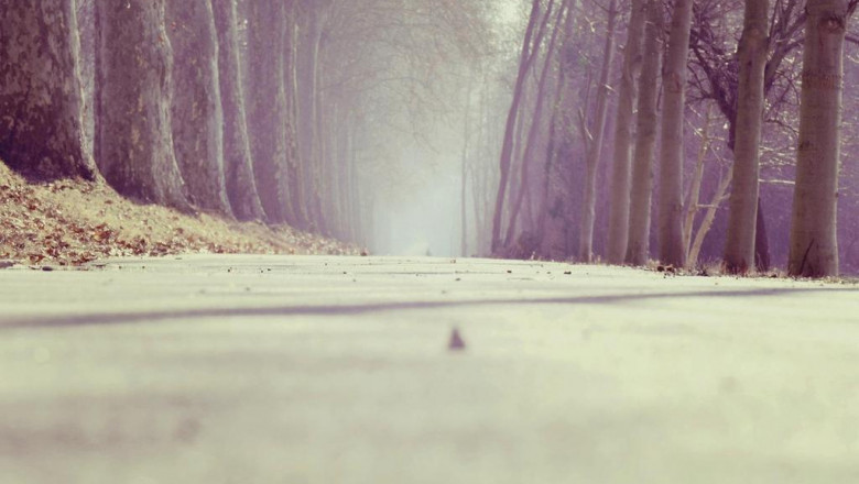 building totally new home about your family