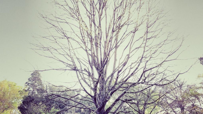 oblique tax providers kpmg deutschland