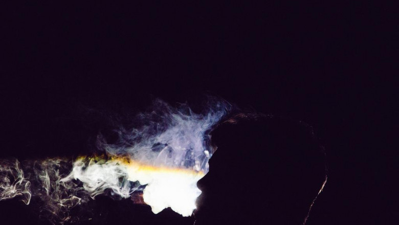 selfmade french fries in the air fryer