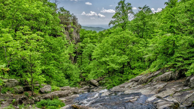 the best kept secrets about urikajino