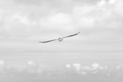 11 ways to completely revamp your wind wing