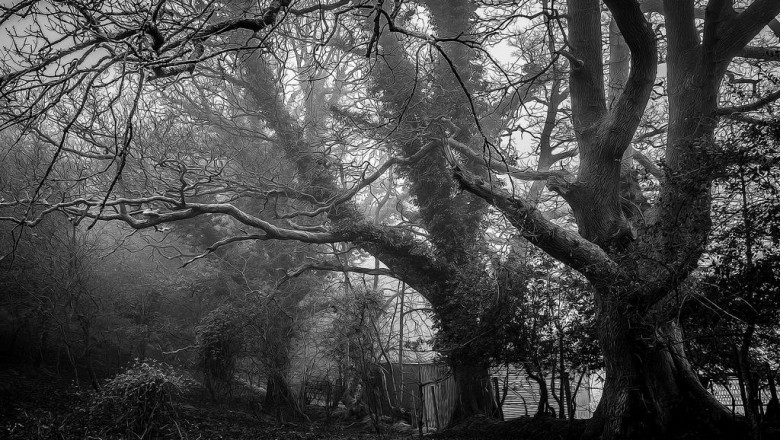 5 vines about red light therapy for joints that you need to see