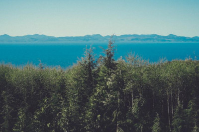 best accounting software program for small companies of may 2022