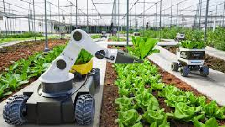 Agriculture Robots Market Report Till 2028 | Latest Trends, Growth & Forecast