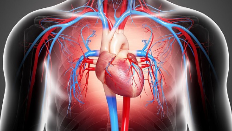 Battery-powered cardiac rhythm management devices monitor and control heart rhythm in cardiac patients