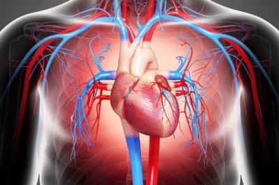 Battery-powered cardiac rhythm management devices monitor and control heart rhythm in cardiac patients