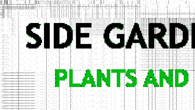 Benefits of Gardening, Plus Helpful Tips & Recommendations