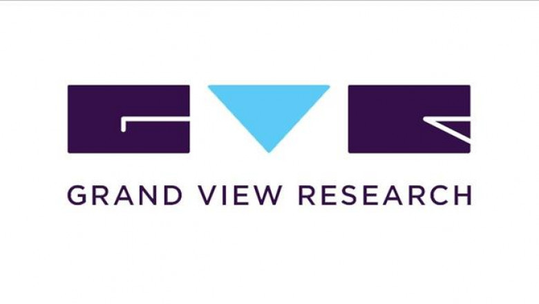 Biopsy Guidance System Market Share And Forecast By Different Geozedlikeblogies, Leading Companies Outlook, Type And End-use Segment