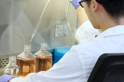 Fetal Bovine Serum Market Recorded Hyper Growth in the Upcoming Year