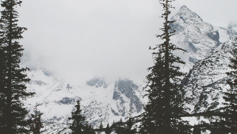 get the finest construction projects with carlsbad concrete contractor advice and tricks