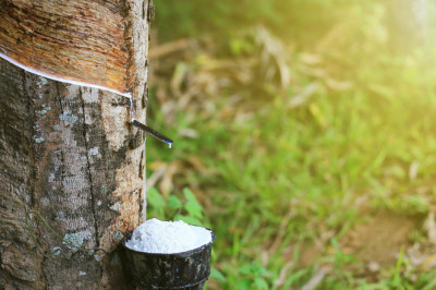 Natural Rubber Market Report 2026: Overview, Trends, Analysis, Demand and Key Players