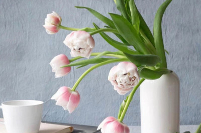 Plants speak: Responding with vibrations