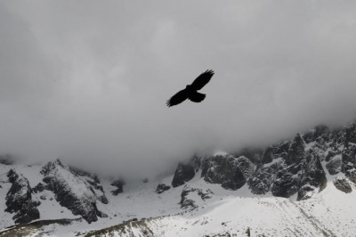 2022 all star jerseys mlb cheap 10 things i wish id known earlier