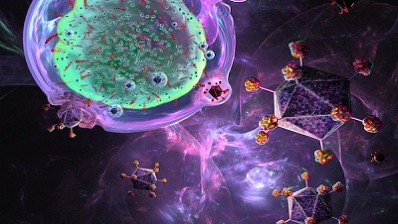 CAR T-Cell Therapy Market Size, Share, Growth, Regional Trend, Leading Players by Forecast to 2028 | MarketDigits