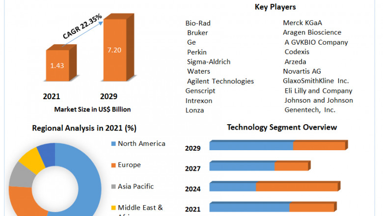 Global Protein Engineering Market Growth, Trend, Segmentation And Forecast to 2029