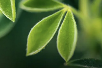 How E-Bikes are Changing the Active Travel Business