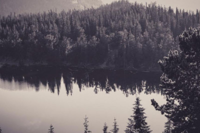 integritatsniveau ist mit sicherheit verbunden