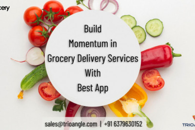 Build Momentum in Grocery Delivery Services With Best App