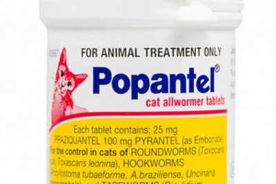 Buy Treatment for Intestinal Worms in Cats & Kittens