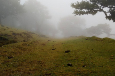 cach giat ghe sofa ni tai nha cuc don gian va gian di