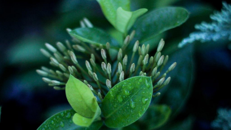 der ultimative leitfaden zur ecommerceplattform von shopware