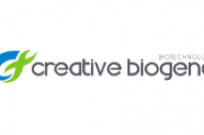 Fosmid Library Construction