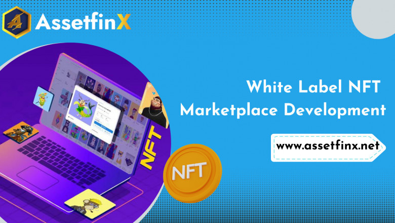 How Customizations Make Your NFT Marketplace Platform Appealing?