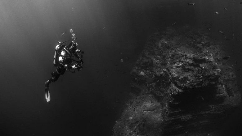 how to win big in the plyyrym mkhyr industry