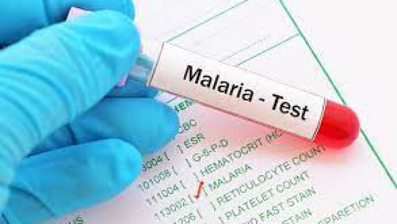 Malaria Diagnostics Market 2022 Key Players, Share & Forecast Report to 2028