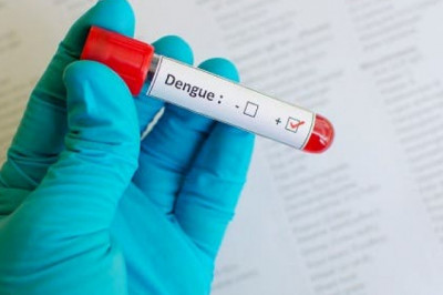 Mosquito-borne viruses cause dengue vaccines, a severe flu-like illness.