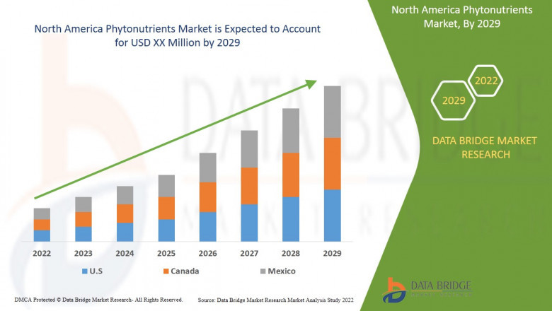 North America Phytonutrients Market Scope and Market Size