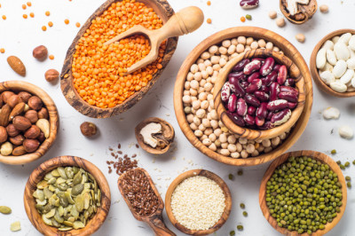 Polymers Based on Proteins are Known as Protein A Resin