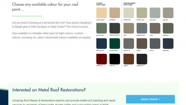 Roof Paint Protection
