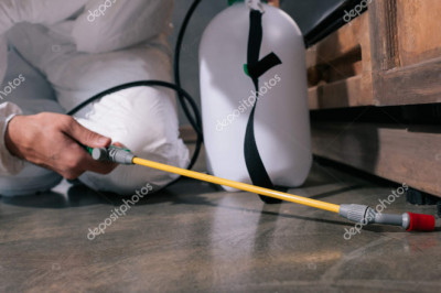 The Top Ten Pest Control Tips For Your Home