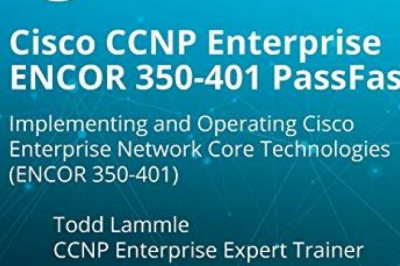 350-401 Valid Test Topics & Lab 350-401 Questions - Updated 350-401 Test Cram