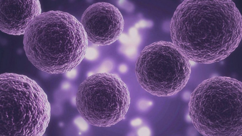 3D Cell Culture Market - Forecast (2022 - 2027)