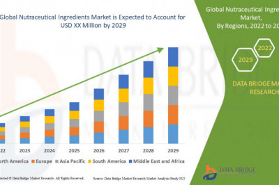 Analysis and Insights of Nutraceutical Ingredients Market