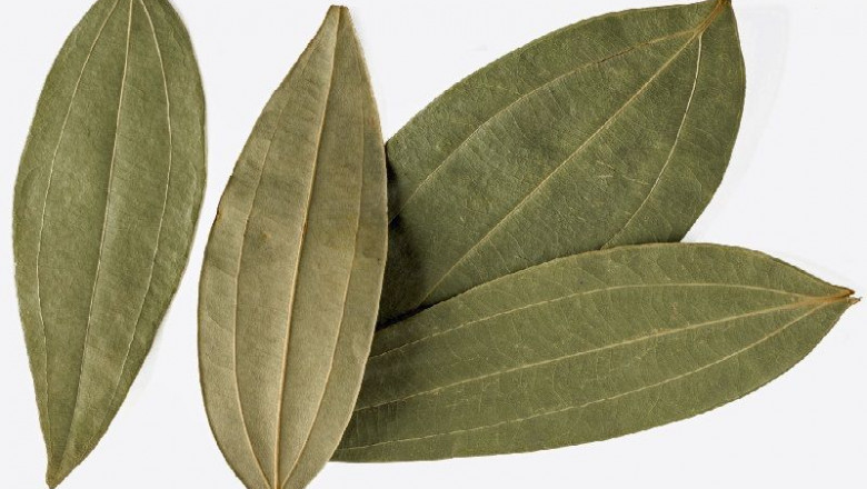 Bay Leaf Market Growth And Analysis