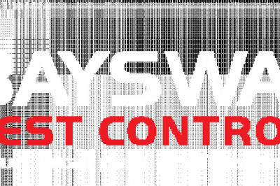 Best Termite Treatment & Prevention Melbourne | Bayswaterpestcontrol