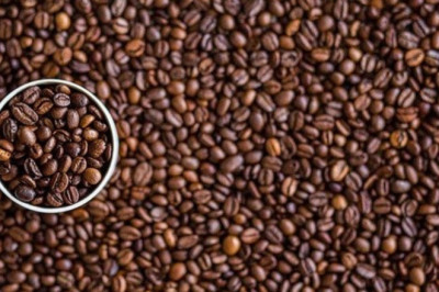 Global and United States Nut Oils and Butters Market Report & Forecast 2022-2028